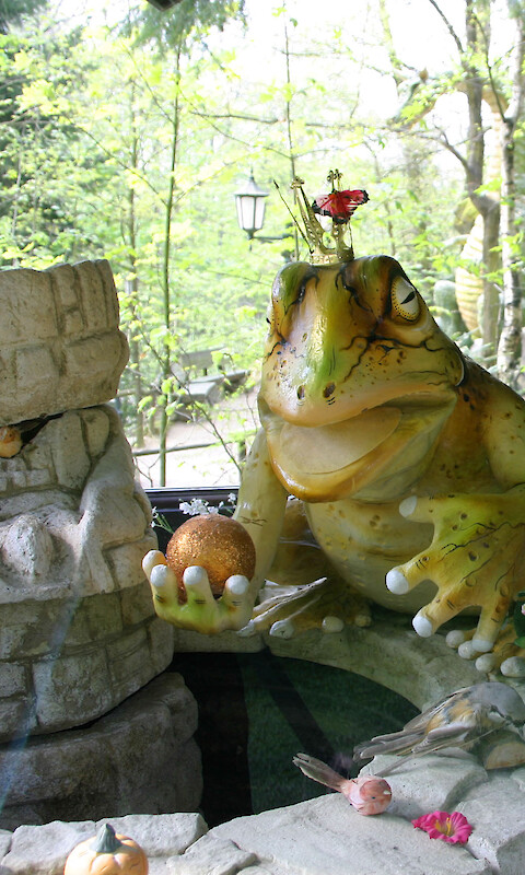 Froschk&ouml;nig