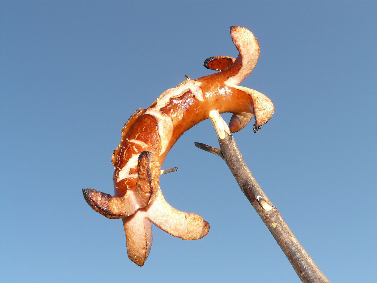 Gaul-Snack