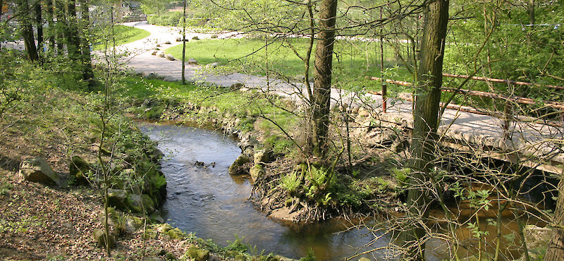 Naturschutzgebiet der Plohnbachaue