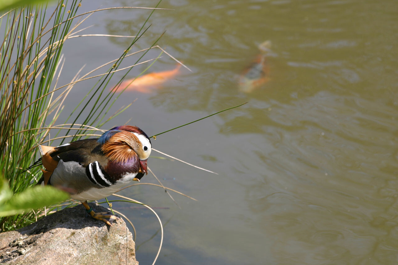Naturschutzgebiet der Plohnbachaue