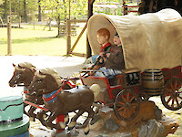 Horse-drawn Carriage