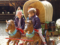 Horse-drawn Carriage