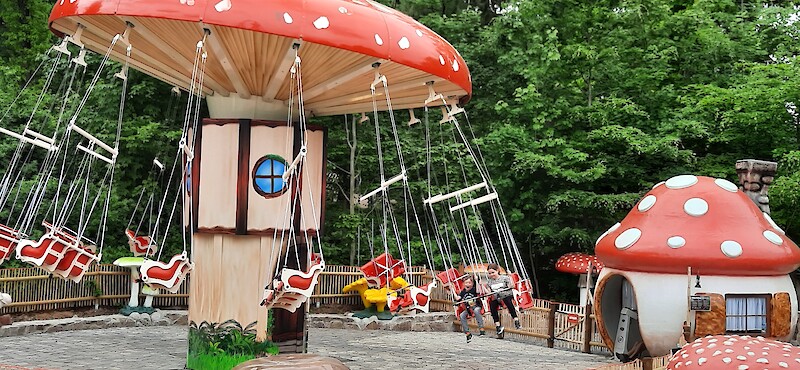 Plohnis Pilzflieger