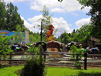 Western Rodeo