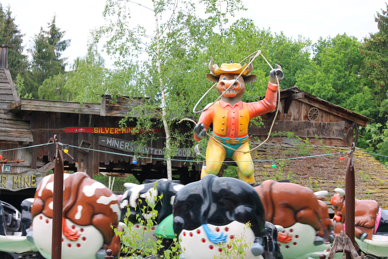Western Rodeo