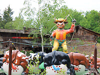 Western Rodeo