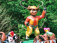 Western Rodeo