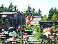 Western Rodeo