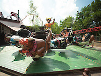 Western Rodeo