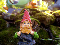 Gnome train in Dwarf Land