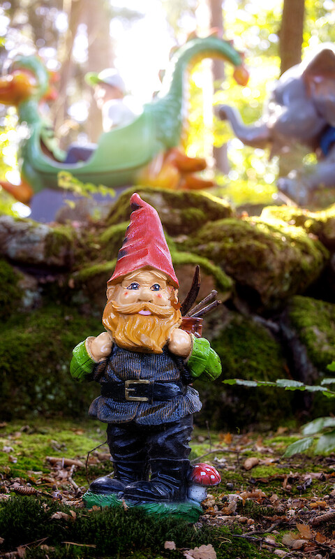 Gnome train in Dwarf Land
