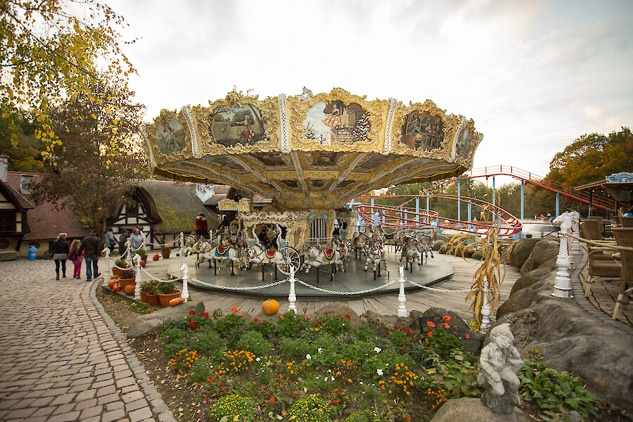 Bild aus Galerie